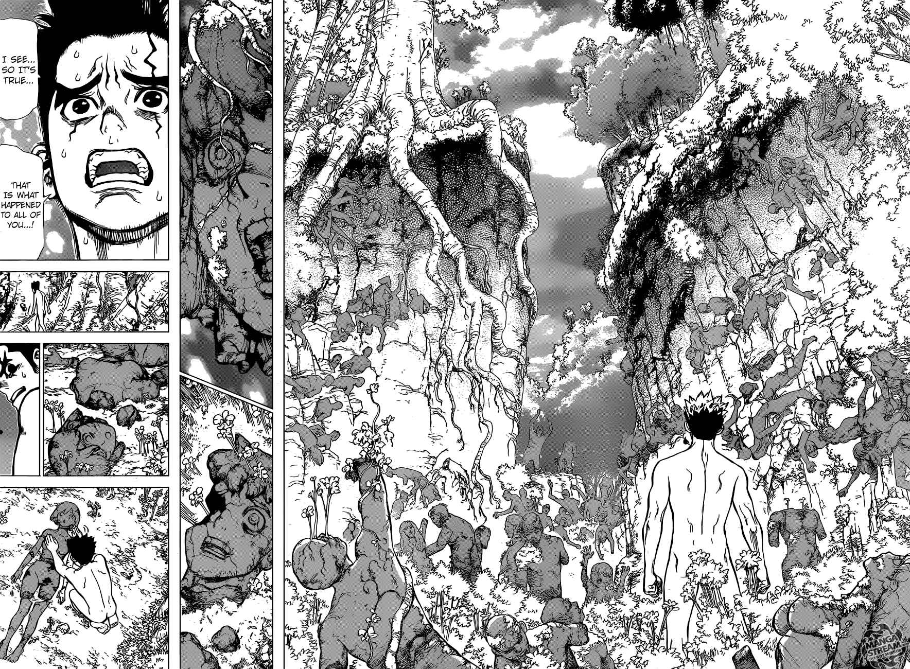 Chapter 1 - Stone World Image(31)