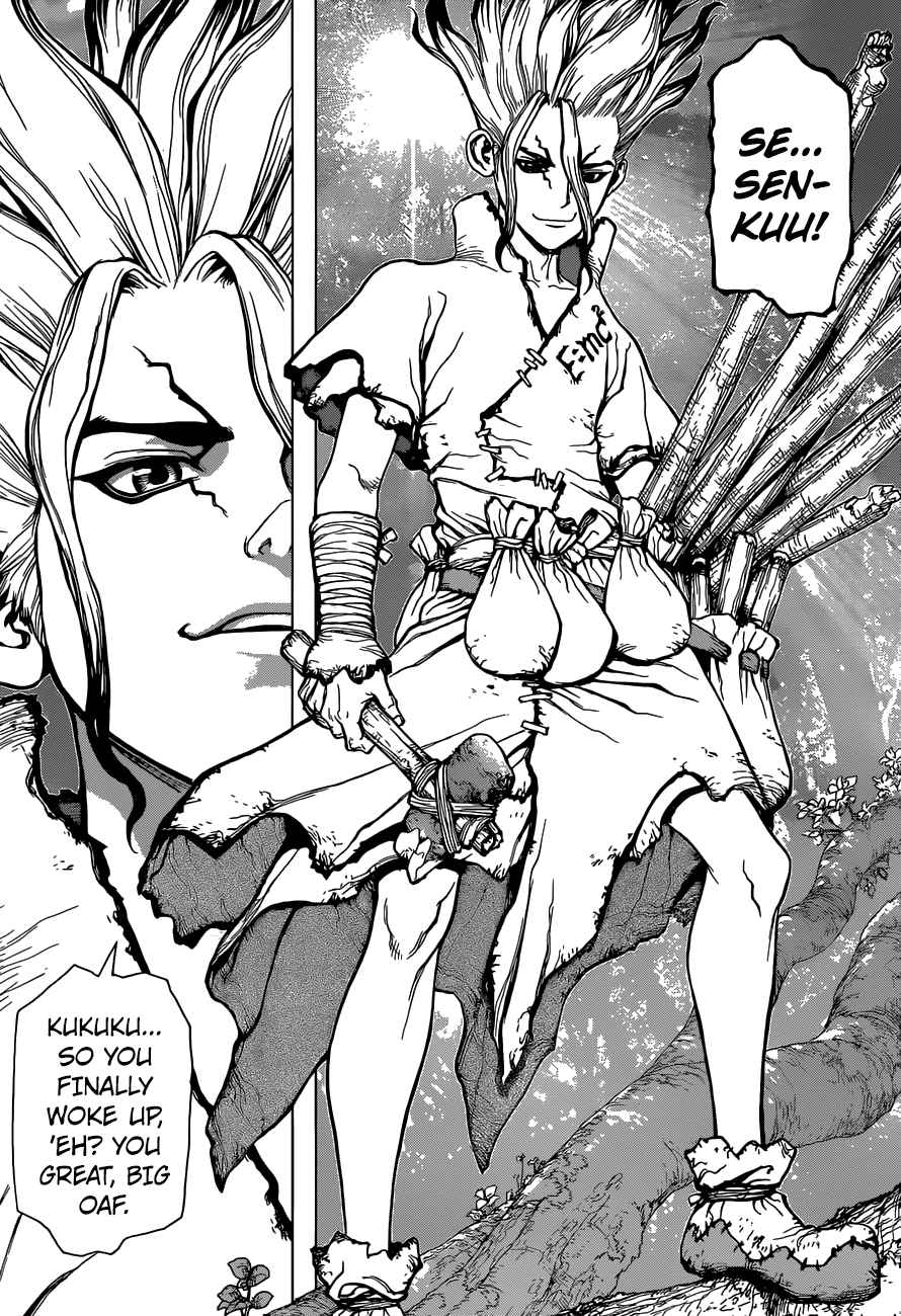 Chapter 1 - Stone World Image(39)