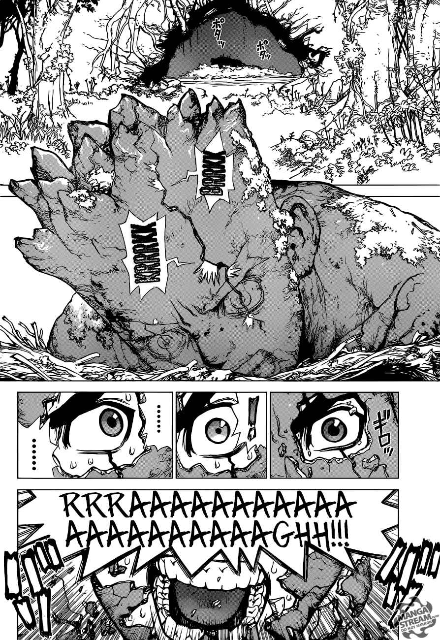 Chapter 1 - Stone World Image(29)