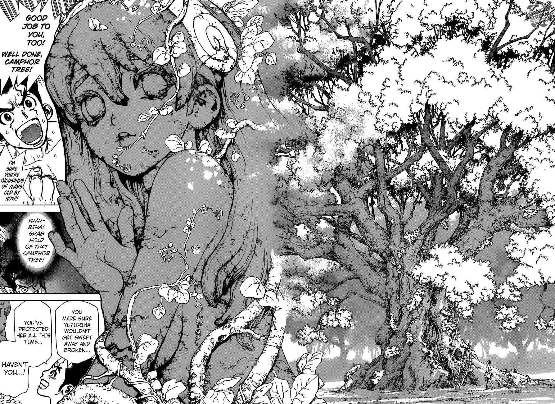Chapter 1 - Stone World Image(34)