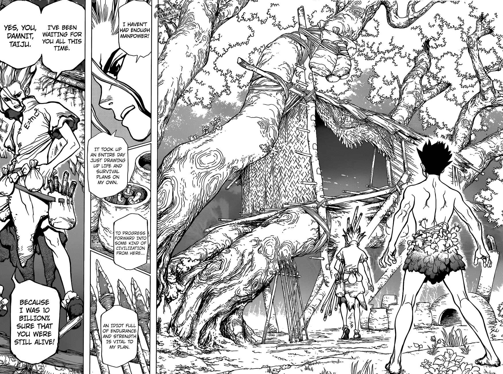 Chapter 1 - Stone World Image(43)