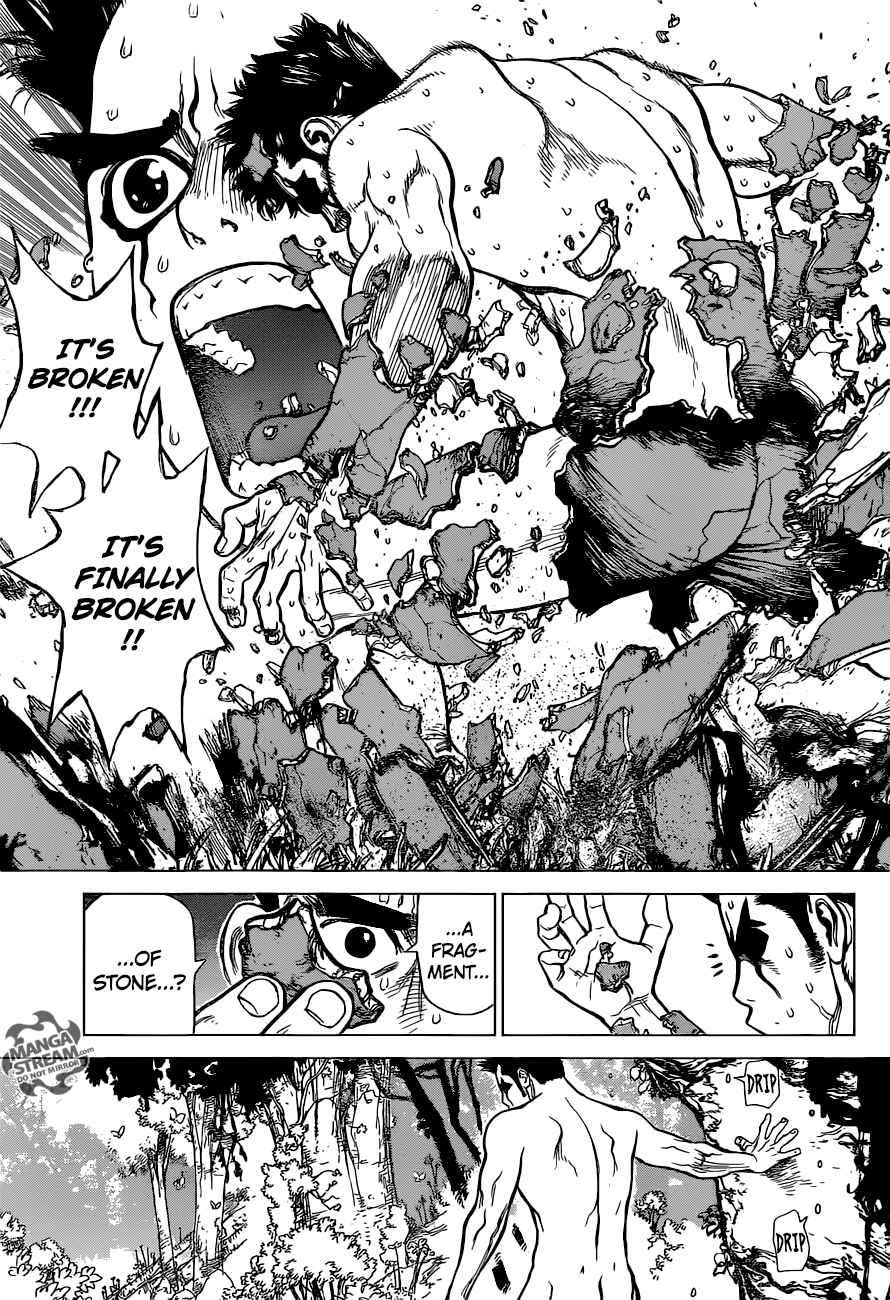 Chapter 1 - Stone World Image(30)