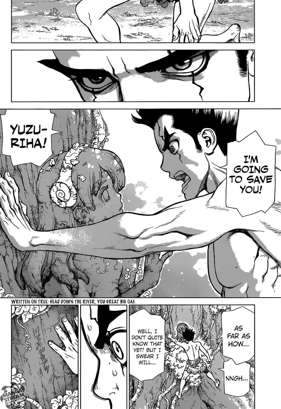 Chapter 1 - Stone World Image(37)