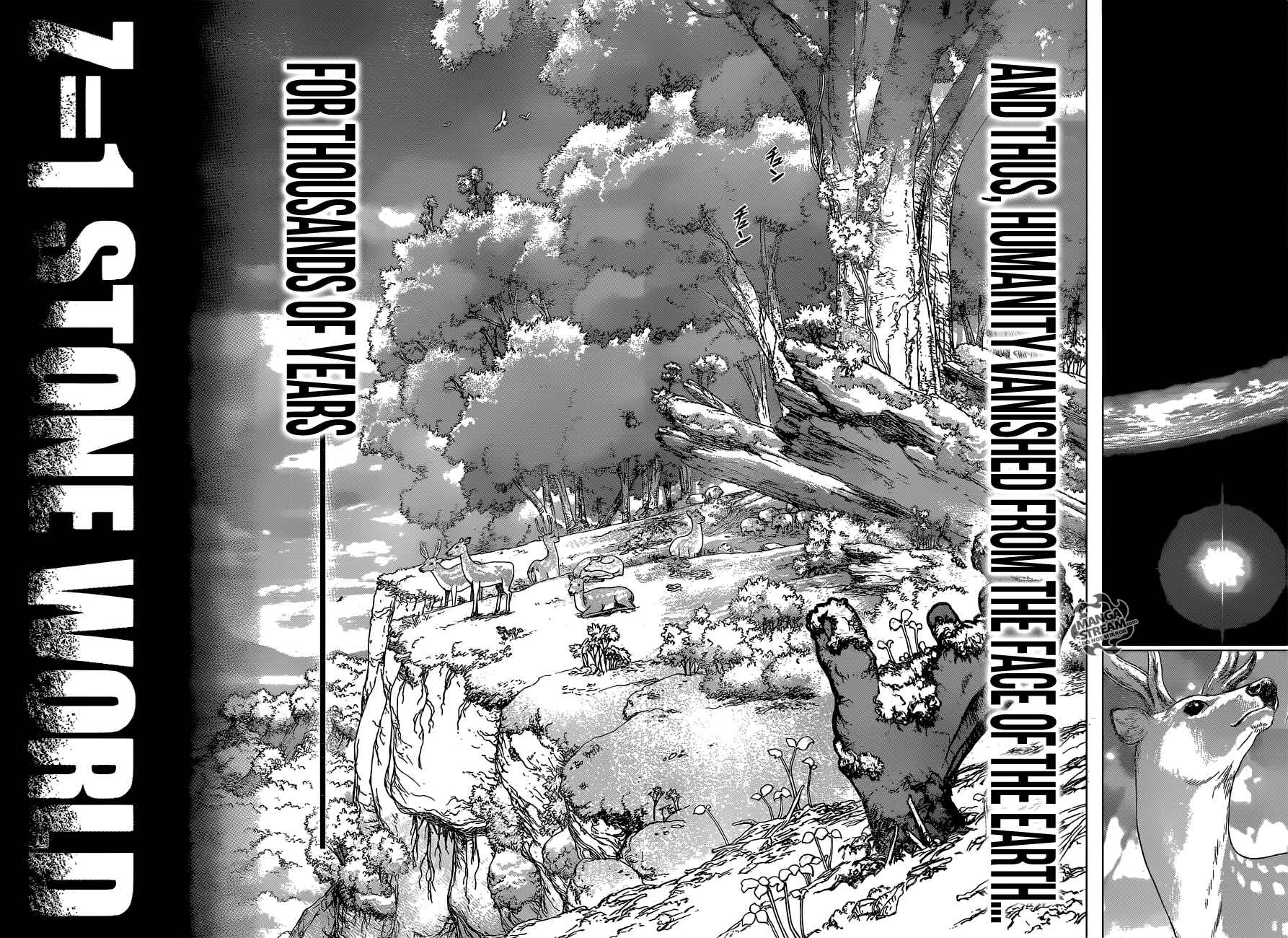 Chapter 1 - Stone World Image(28)