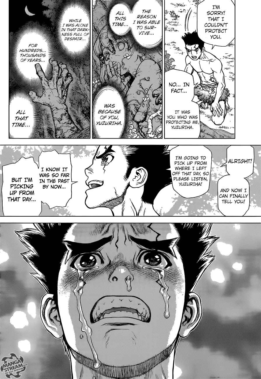 Chapter 1 - Stone World Image(35)