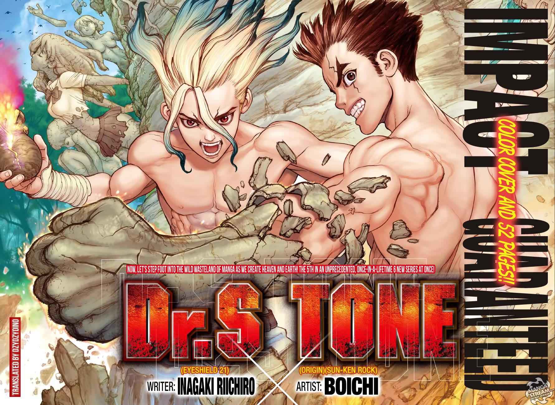 Chapter 1 - Stone World Image(3)