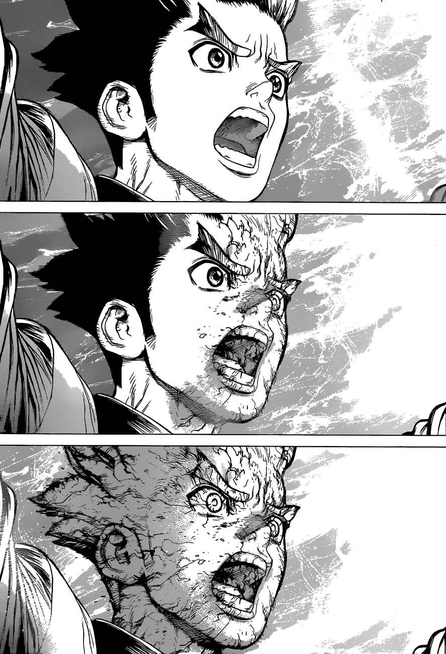 Chapter 1 - Stone World Image(12)