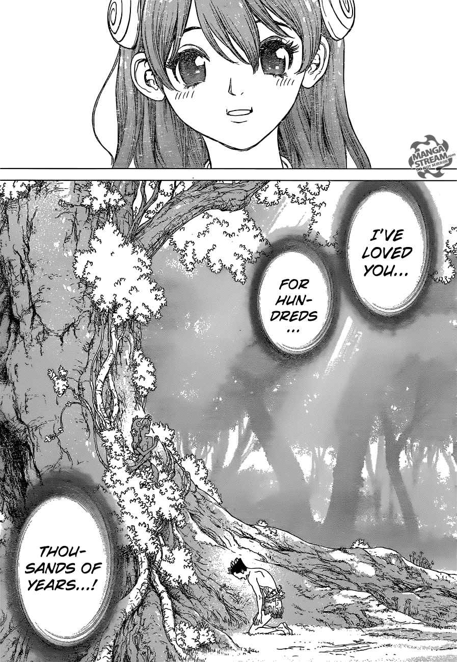 Chapter 1 - Stone World Image(36)