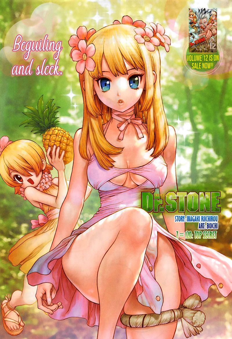 Chapter 120 - Top Secret Image(1)