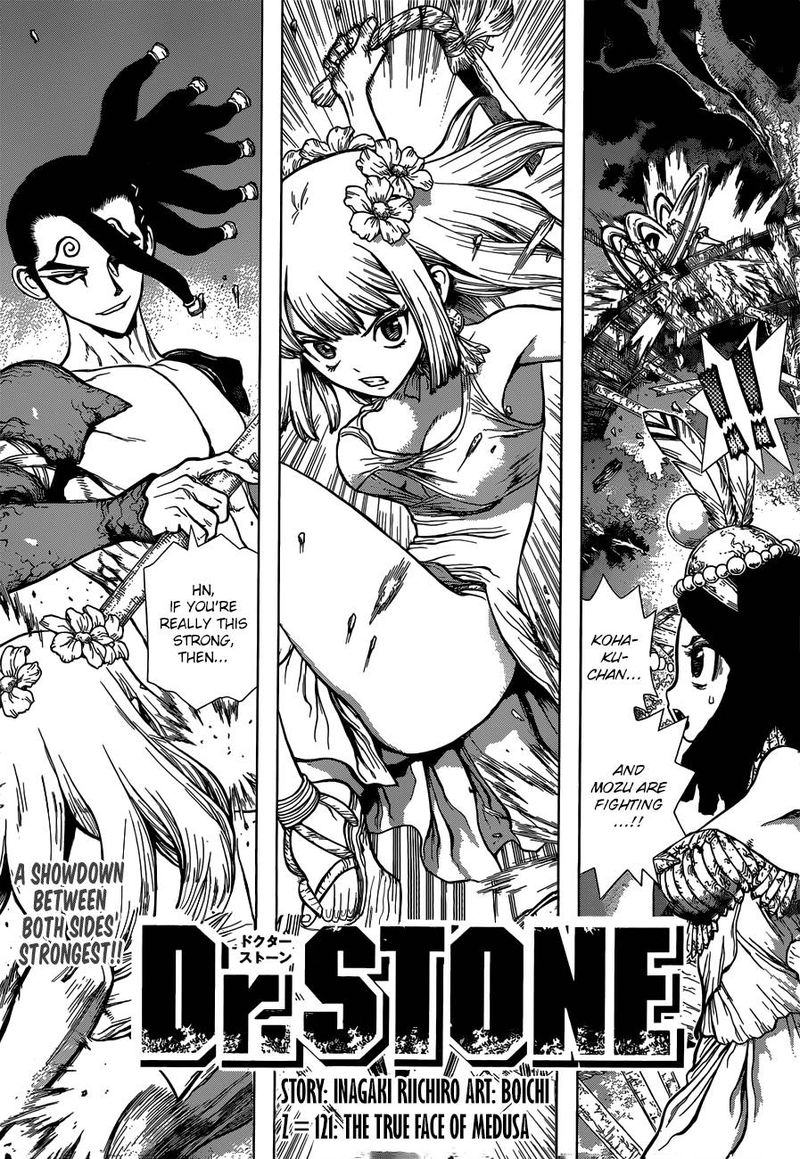 Chapter 121 - The True Face of Medusa Image(1)