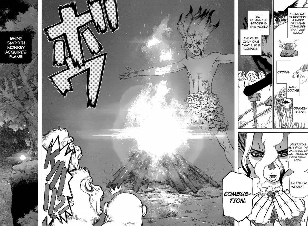 Chapter 13 Image(15)