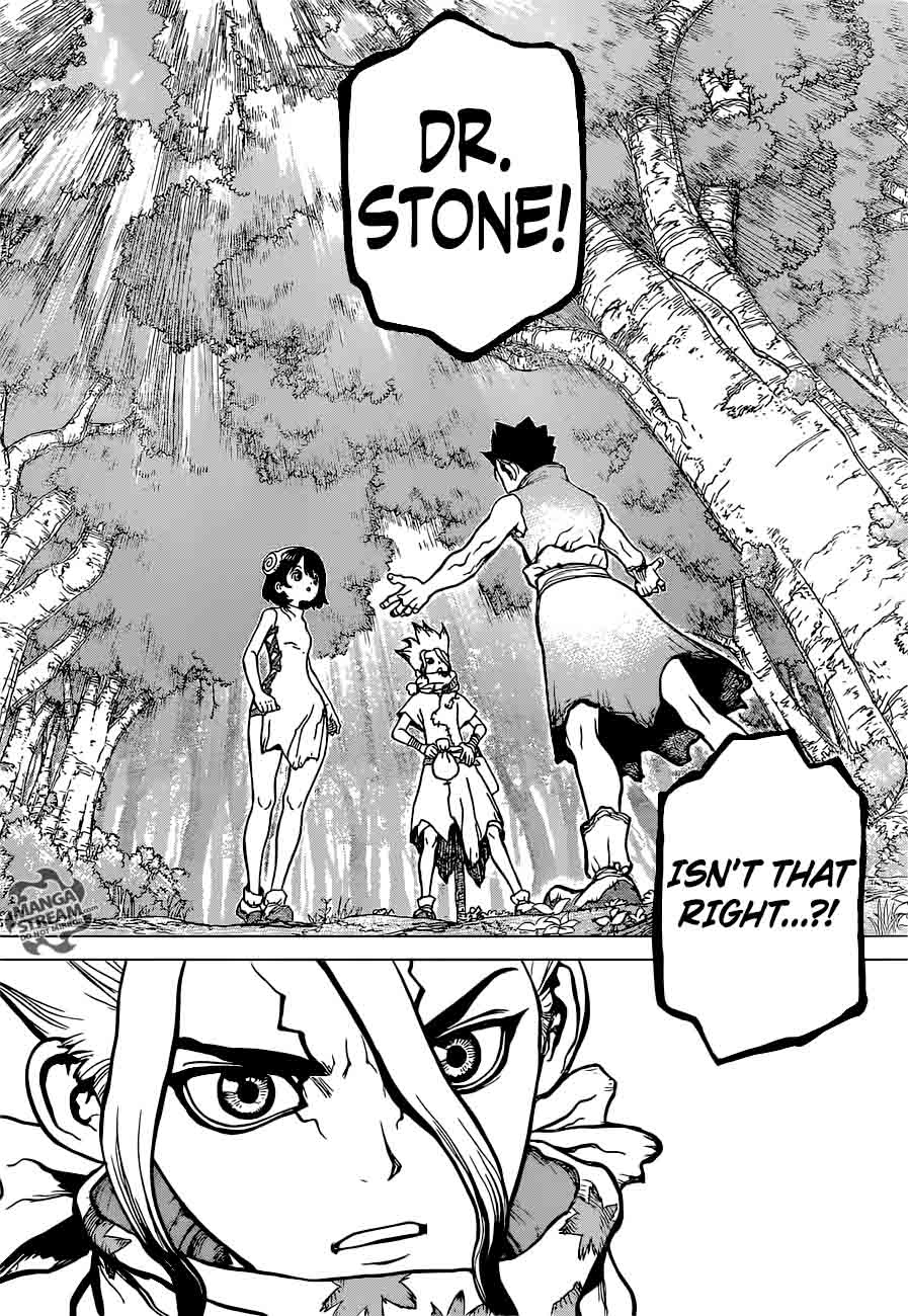 Chapter 15 - Stone World's Two Countries Image(8)