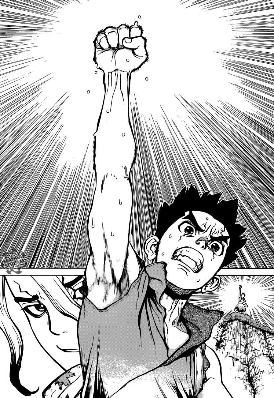 Chapter 15 - Stone World's Two Countries Image(17)