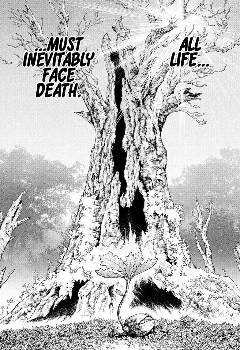 Chapter 230 Image(1)