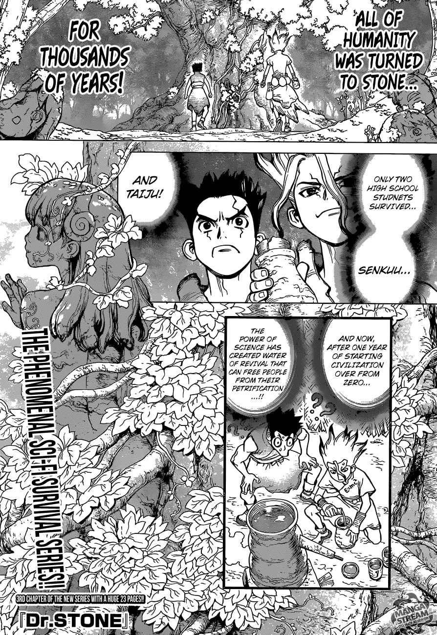 Chapter 3 - King of the Stone World Image(1)