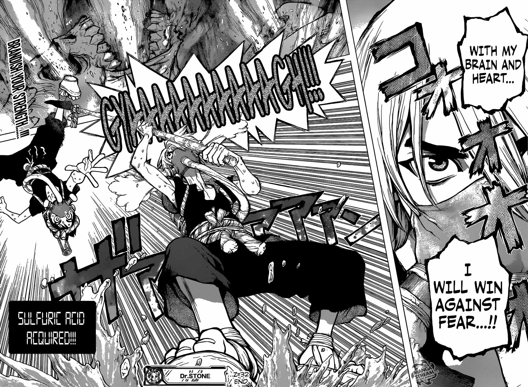 Chapter 32 - Brain  Heart Image(16)