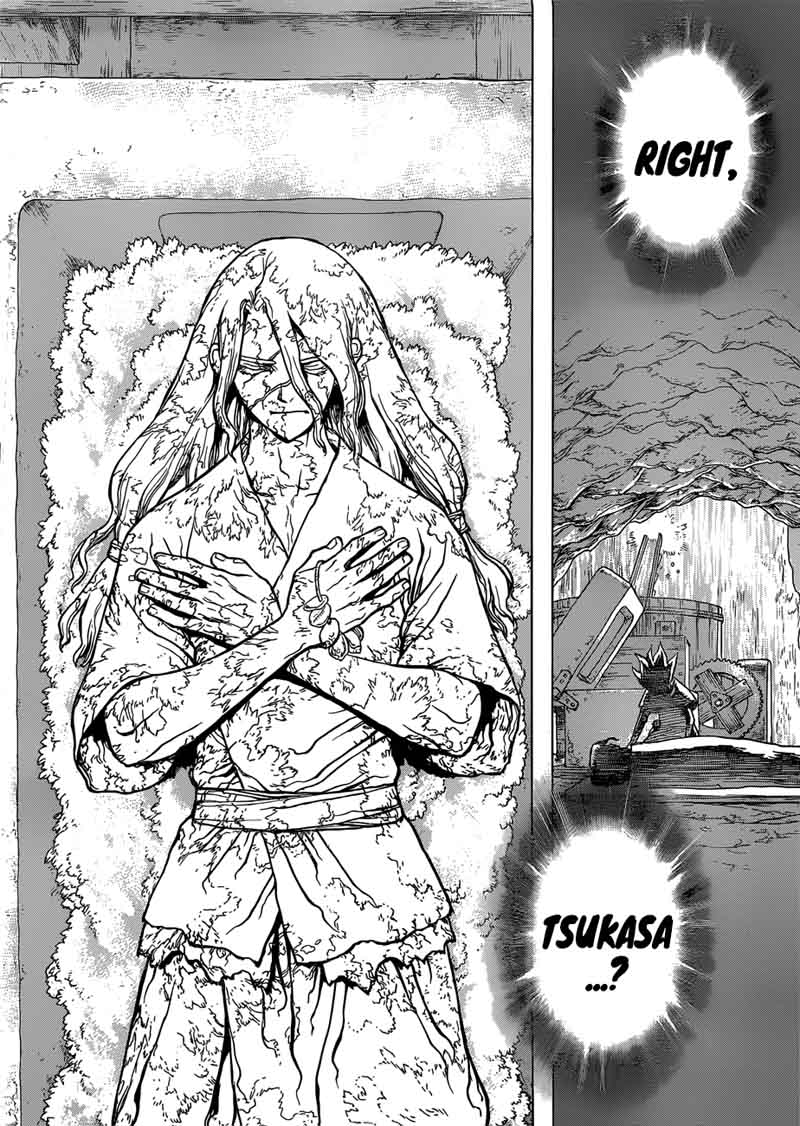 Chapter 83 - Dr. Stone Image(19)